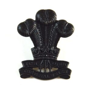 Royal Welsh Bronze Beret Cap Badge