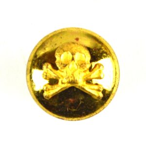 17th/21st Lancers Officer's Mounted Gilt Button (13mm)