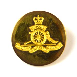 Royal Artillery Gilt Flat Blazer Button, Queen's Crown (20mm)