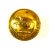 Roberts Horse (1900-1902 Pattern) Officer's Gilt Button - 19mm