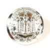 Cambridgeshire Regiment (1908-1961 Pattern) Anodised Button - 25mm
