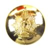Worcestershire and Sherwood Foresters Regiment Anodised Button (1970-2007 Pattern) - 26mm
