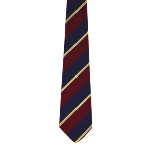 Queen's Own Highlanders (Seaforth's & Camerons) (QOH) Regiment Polyester Tie