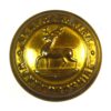 Bedfordshire and Hertfordshire Regiment Brass Button (1919-1958 Pattern) - 26mm