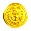 United States Coast Guard Gilt Button - 22mm