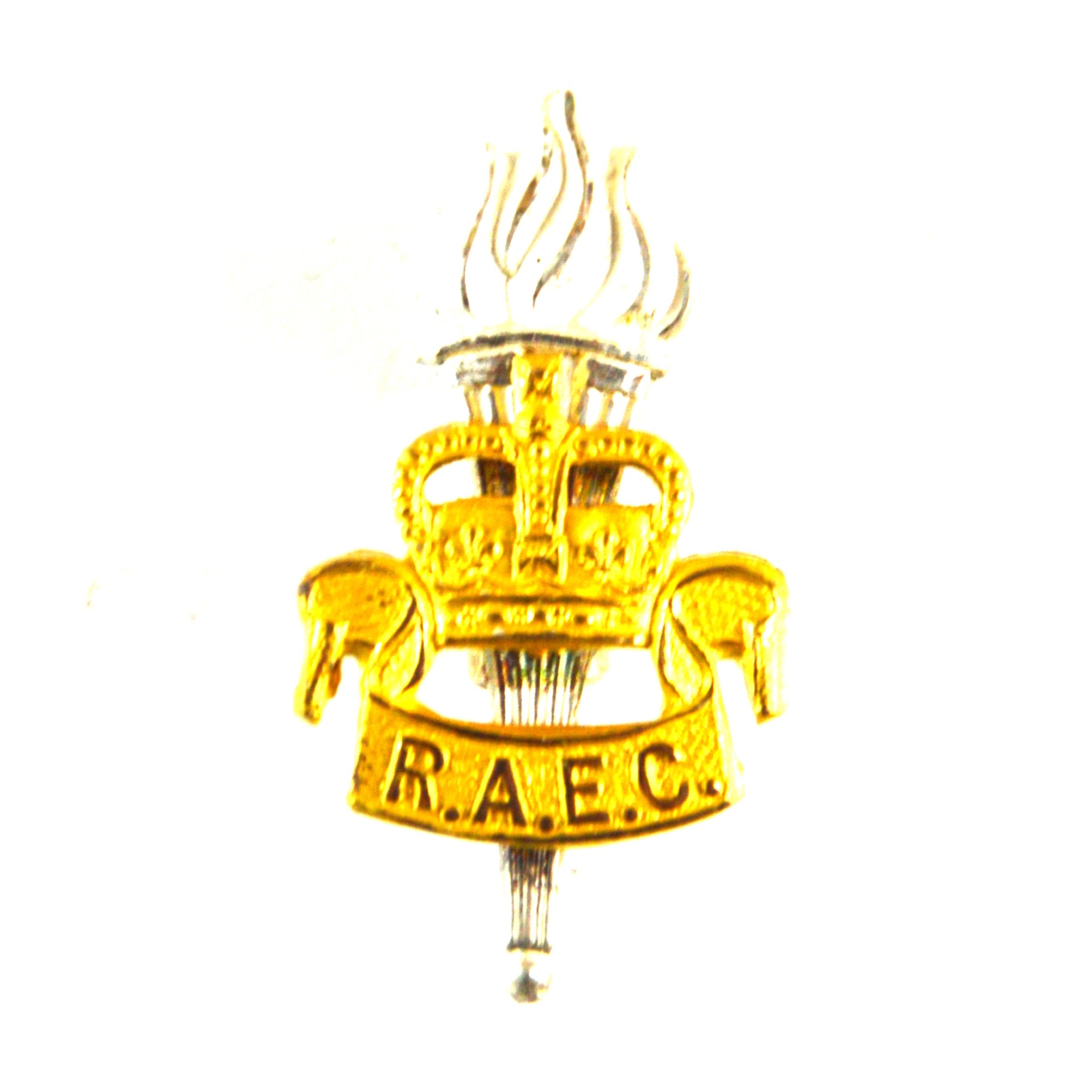 Royal Army Educational Corps (RAEC) Officer-Quality Collar Badge (1953-1992 Pattern)