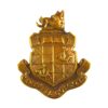 Campbell College Officer Training Corps Cap Badge
