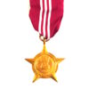 Indian Paschimi Star (1971), Gunner Dhiker Nathu, Indian Artillery