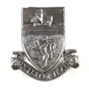 Devon Constabulary Chrome Collar Badge