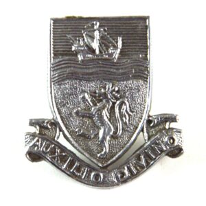 Devon Constabulary Chrome Collar Badge