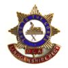 Lincolnshire Regiment Old Comrades Association Silver-Plated and Enamel Lapel Badge