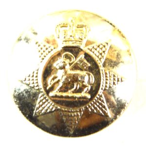Princess of Wales's Royal Regiment (PWRR) Anodised Button, Queen's Crown - 25.5mm