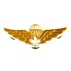 Canadian Parachute Wings Qualification Badge - Gilt and Enamel with White Maple Leaf