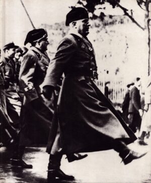 Italy at War (World War II) by Henry Hitch Adams