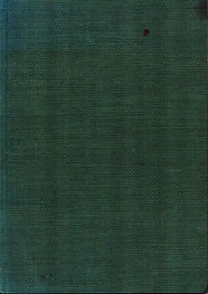 Die Grosse Offensive 1942: Ziel Stalingrad by Werner Haupt & Horst Scheibert (Bilingual Edition)