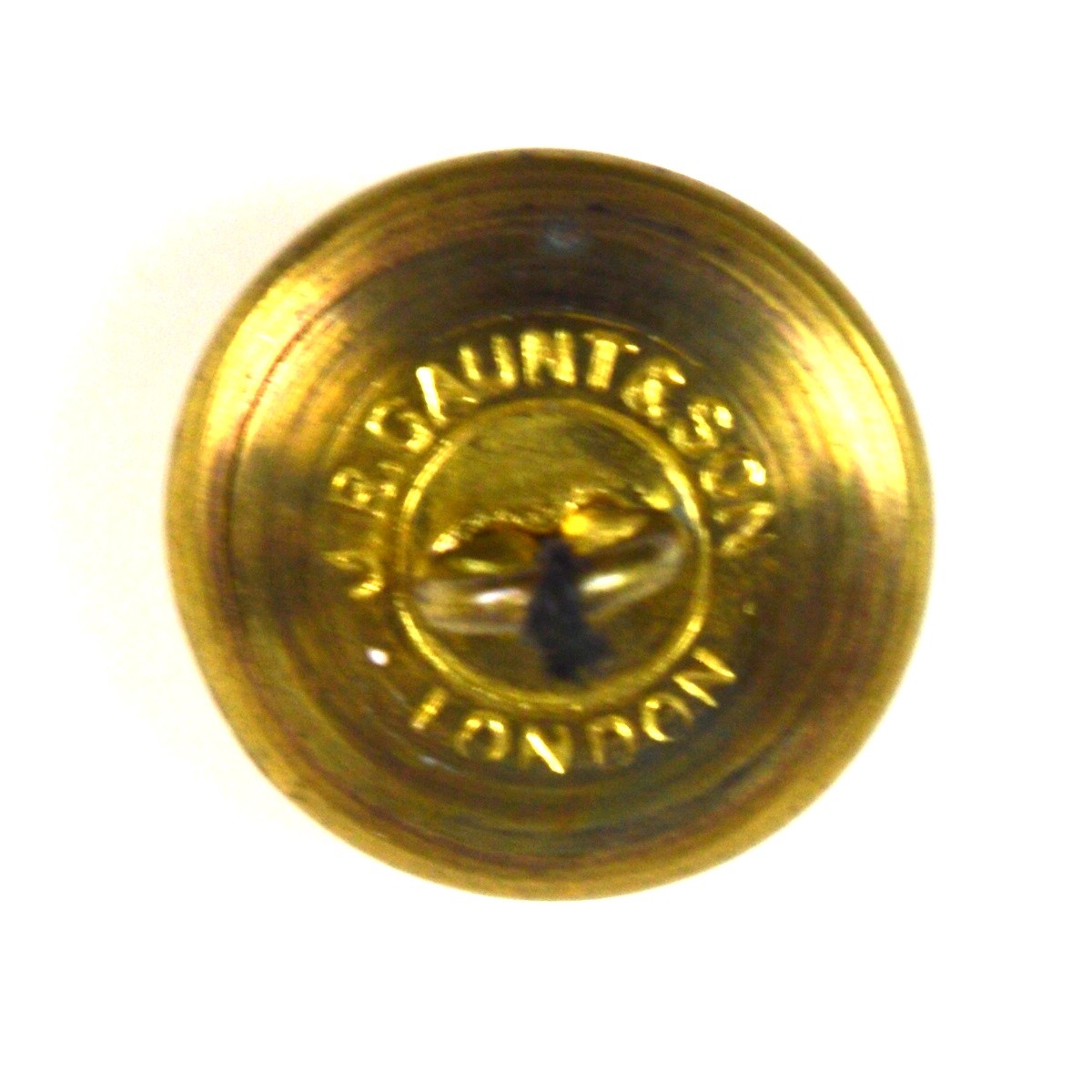 Royal Hampshire Regiment Officer Button (1881-1992 Pattern) - 19.5mm - Image 2
